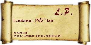 Laubner Péter névjegykártya