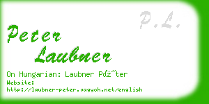 peter laubner business card